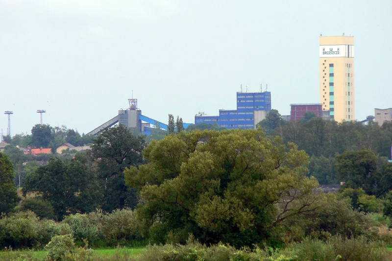Brzeszcze