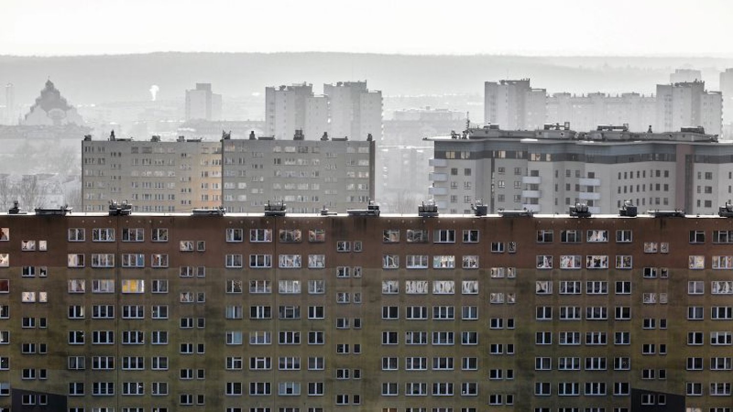Najczęściej pluskwy pojawiają się w blokach