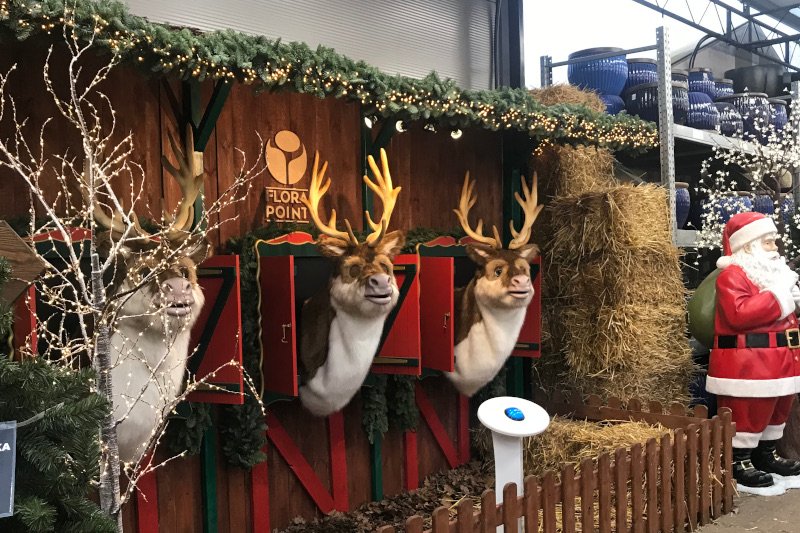 Dekoracje świąteczne w Flora Point w Warszawie przyciągają wielu ludzi. Na przykład śpiewające renifery.