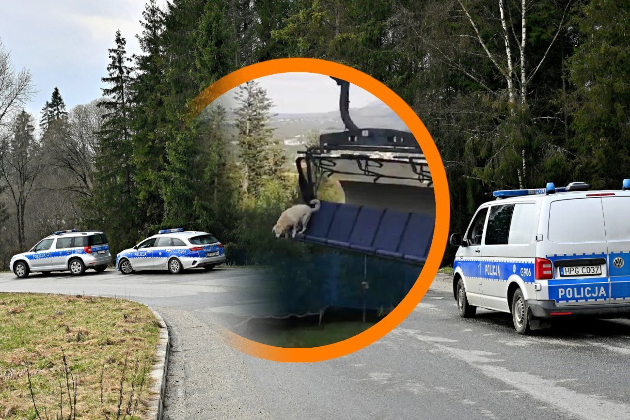 Pies z kolejki na Polanie Szymoszkowej nie żyje. Mamy nowe informacje.