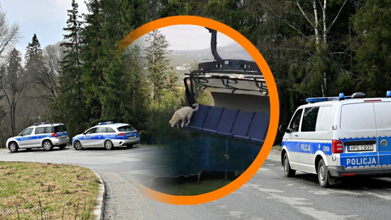 Pies z kolejki na Polanie Szymoszkowej nie żyje. Mamy nowe informacje.