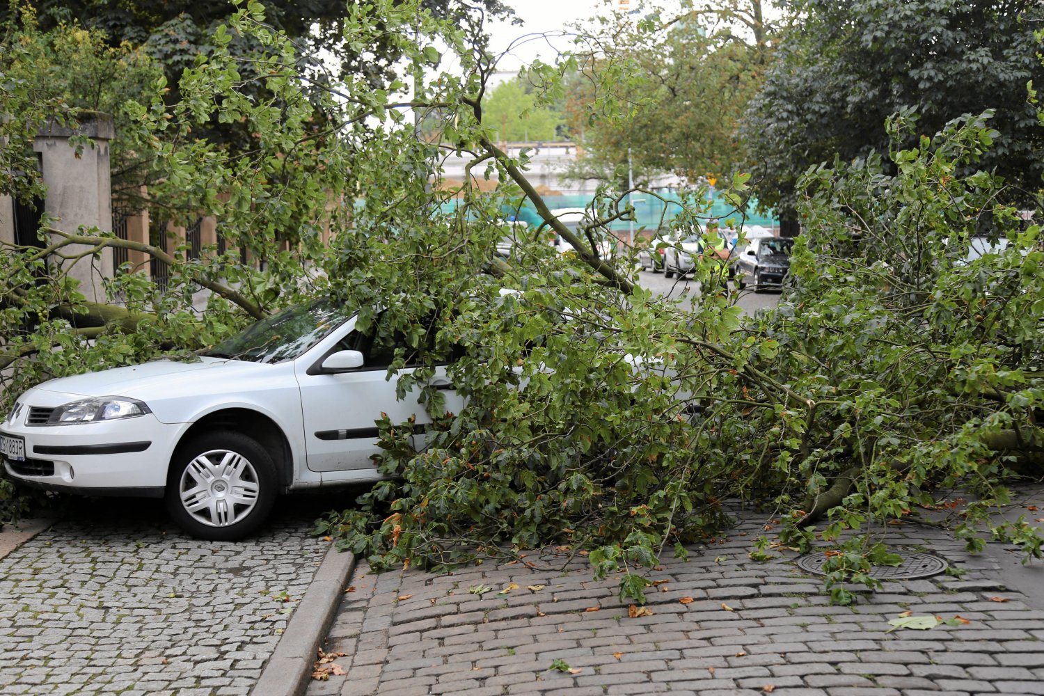 Silny wiatr przewraca drzewa w całej Polsce. Na Pomorzu w ten sposób doszło do tragedii