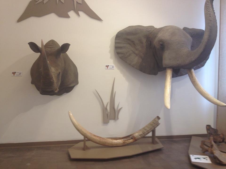 Wystawa, która ma być sposobem na promocję Kielc.