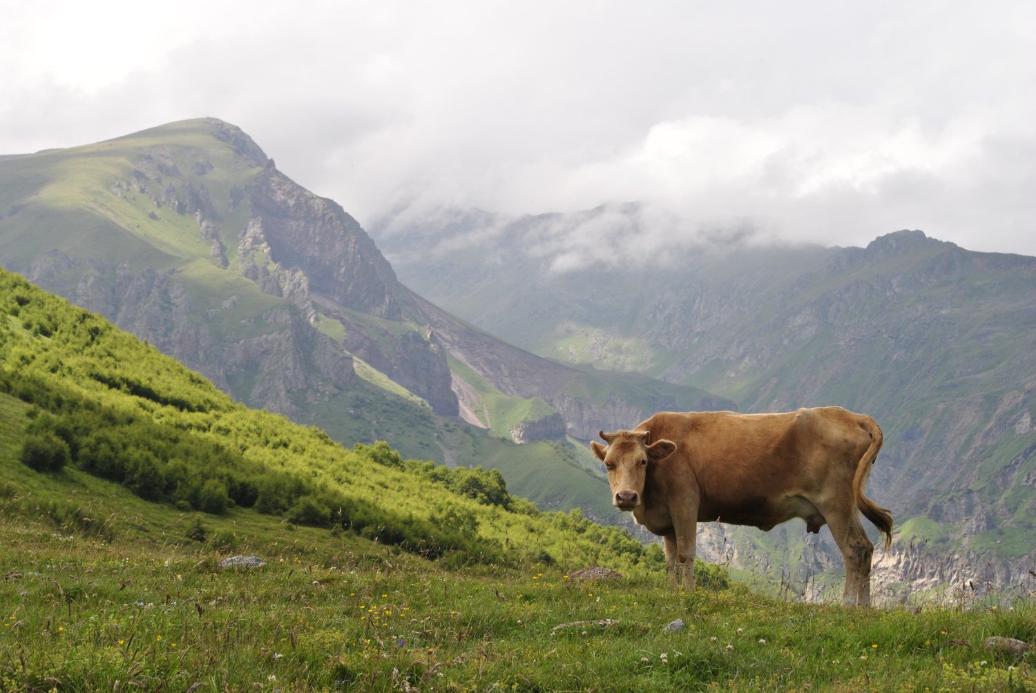 na szlaku, fot. Jerry
