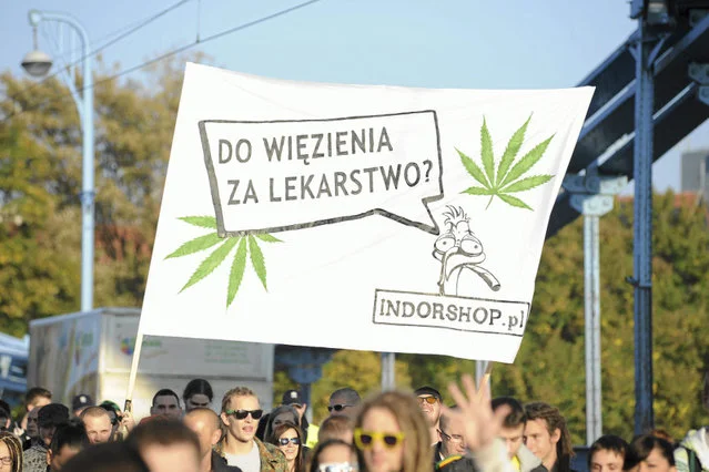 Marihuana nie jest lekiem na wszystkie choroby.