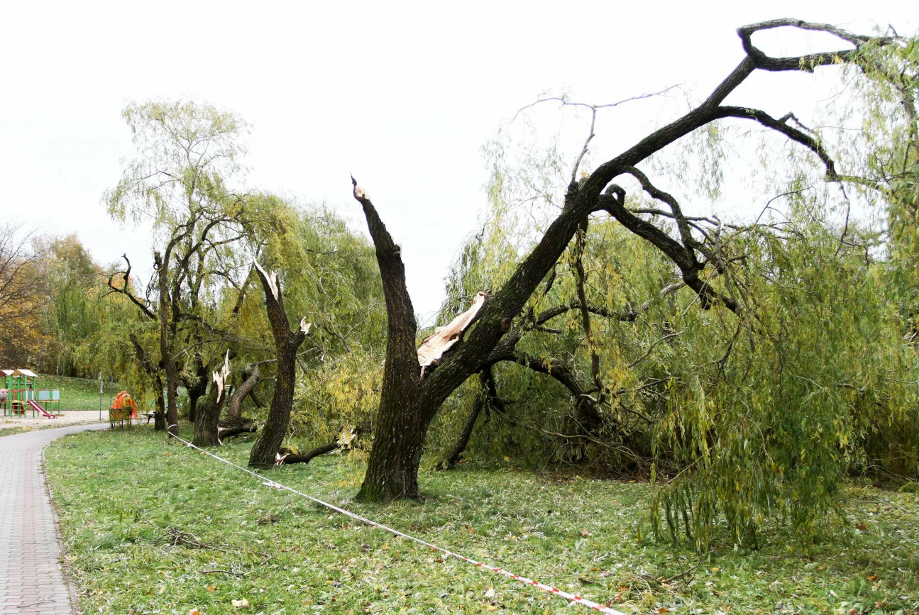 Pogoda na sobotę 23 października. IMWG wydało ostrzeżenia 1 stopnia.