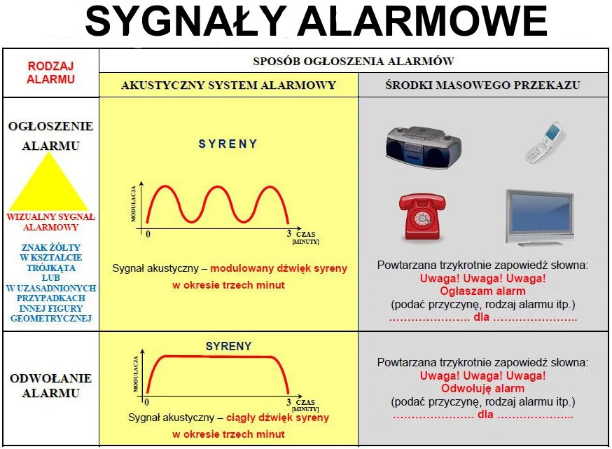Dlaczego wyją syreny? Wojsko zaczyna akcję RENEGADE SAREX 20 [WYJAŚNIAMY]