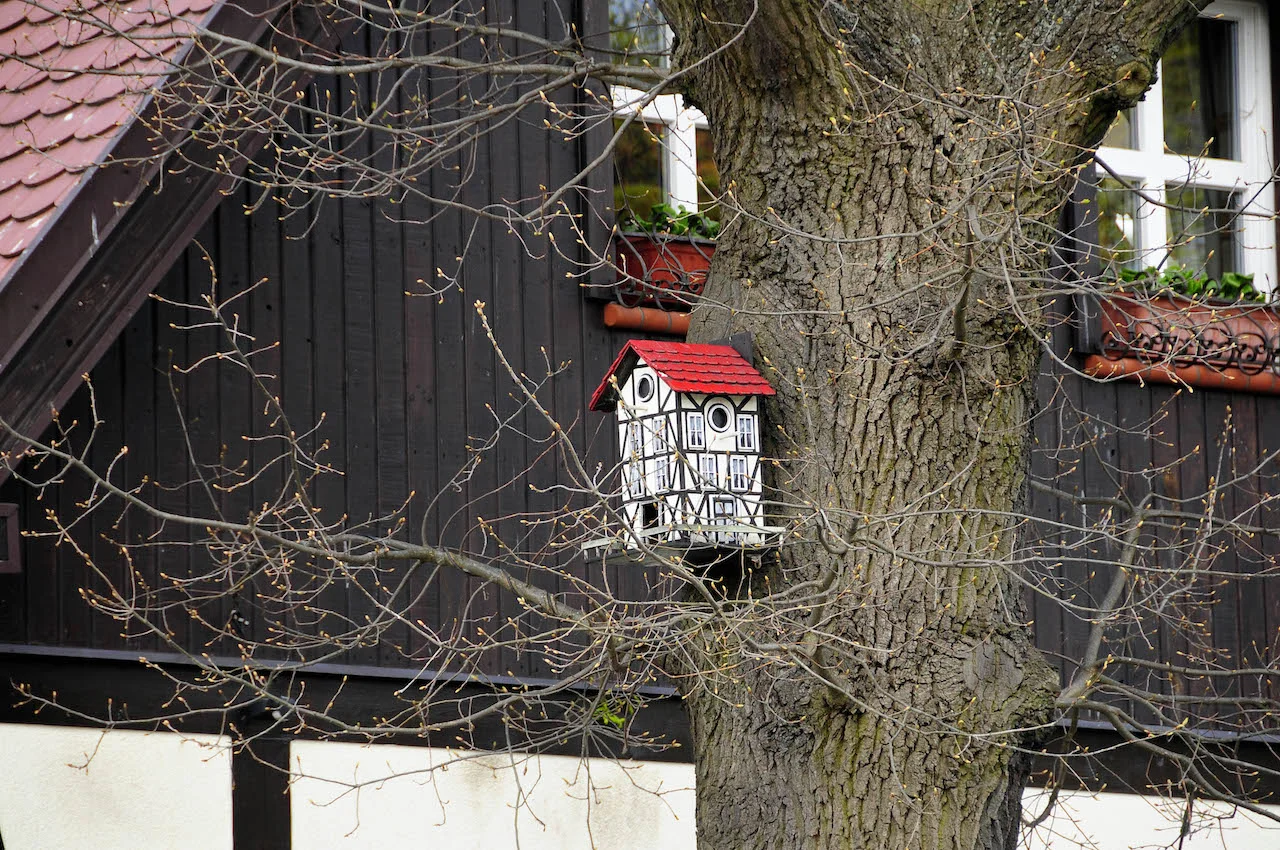 Ustka ma klimat, który docenią turyści.