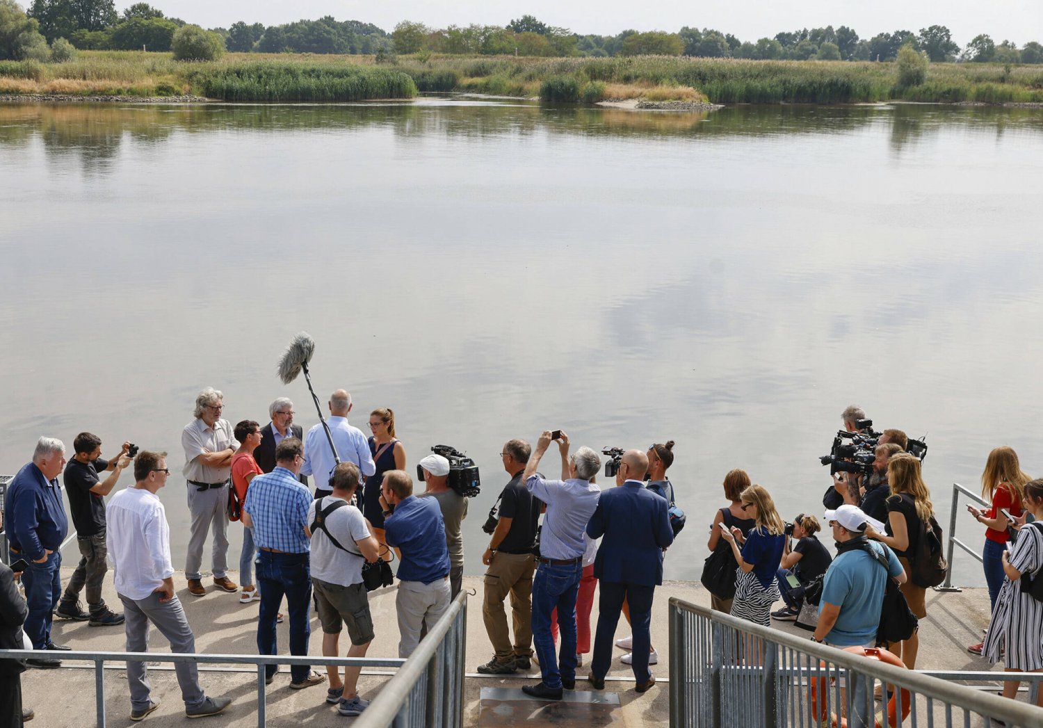 Konferencja prasowa ws. katastrofy ekologicznej na Odrze z udziałem niemieckich mediów.
