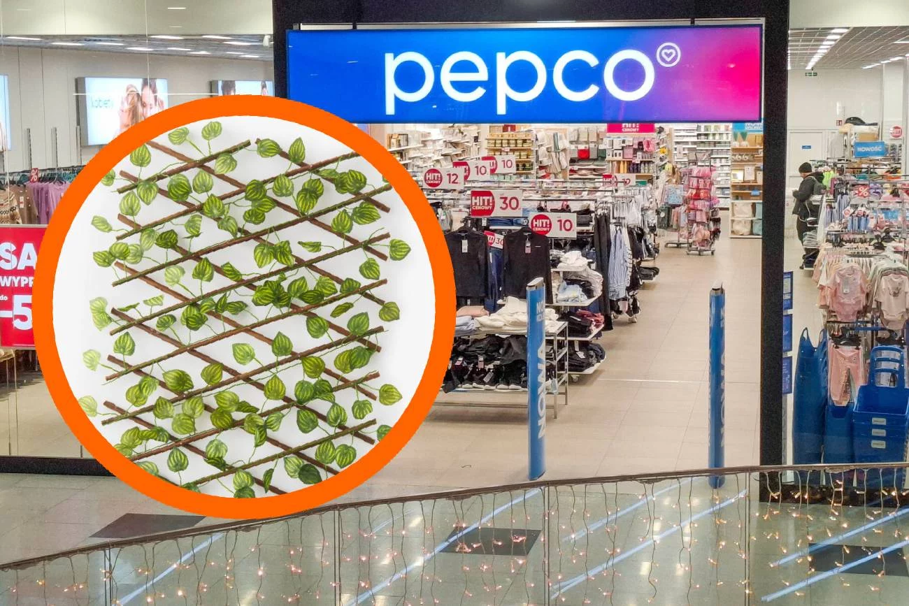 Kosztują grosze, a stworzą klimat. Te hity z Pepco odmienią balkon. Metamorfoza balkonu z Pepco. Te tanie produkty odmienią przestrzeń.