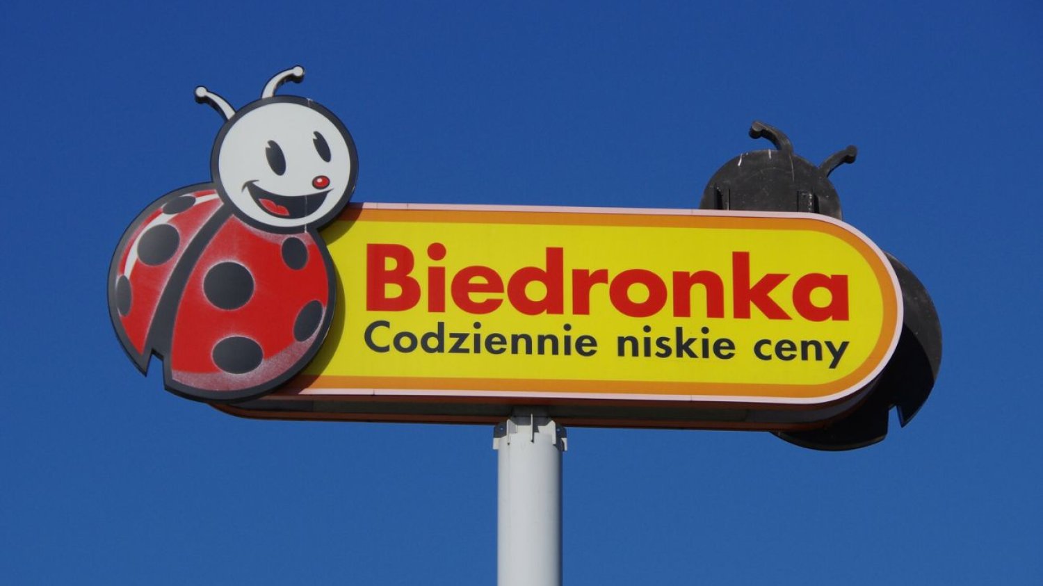 Z tym produktem zadbasz o meble w ogrodzie. Teraz jest dostępny w Biedronce.