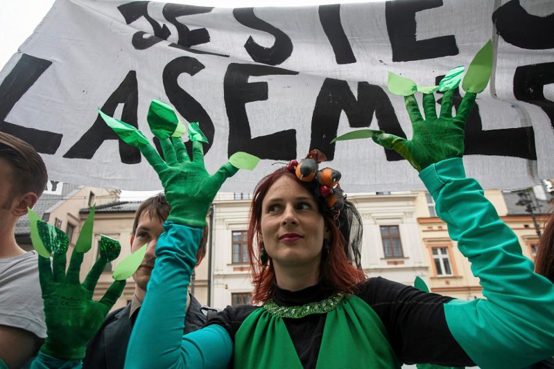 Ekolodzy uważają, że projekt zmian proponowanych przez ministra Szyszkę to zamach na środowisko