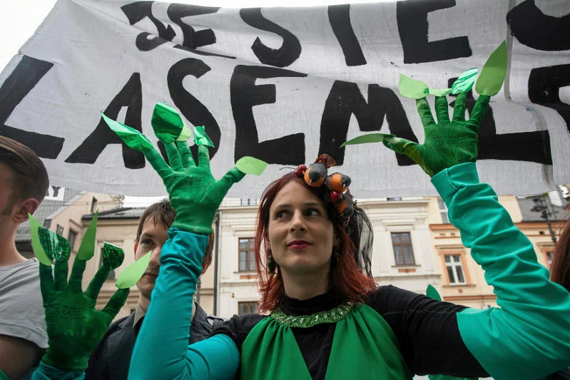 Ekolodzy uważają, że projekt zmian proponowanych przez ministra Szyszkę to zamach na środowisko