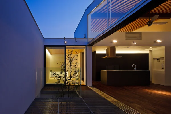 Dent by Apollo Architects