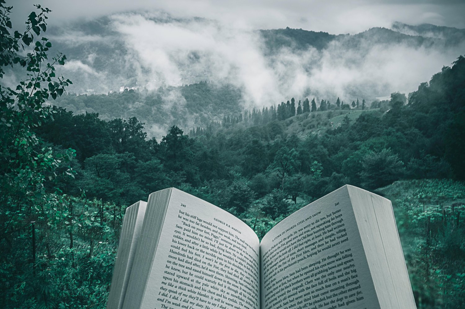 Książki, które zabiorą Cię w podróż. O Szwecji, Holandii i Norwegii piszą zafascynowane krajami Polki.