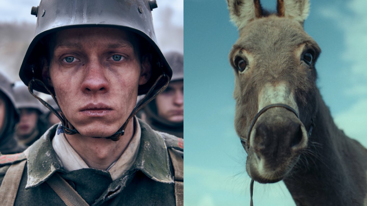 Oscary 2023: najlepszy film międzynarodowy, "Na Zachodzie bez zmian" i "IO" Kadry z filmów "Na Zachodzie bez zmian" i "IO"