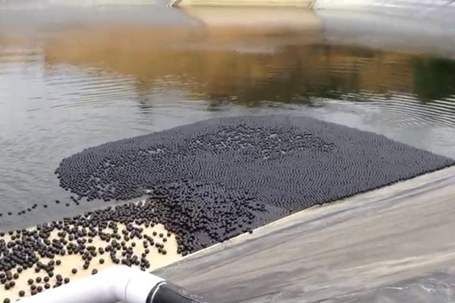 Plastikowe kulki chronią wodę przed promieniowaniem słonecznym