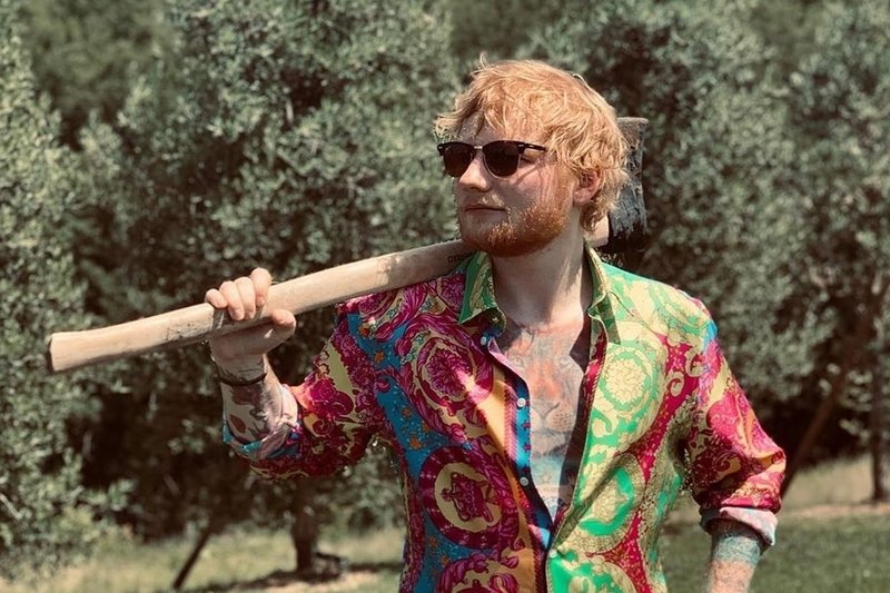 Muzyk chciał zamienić miejscowy staw w basen dla swoich kumpli.