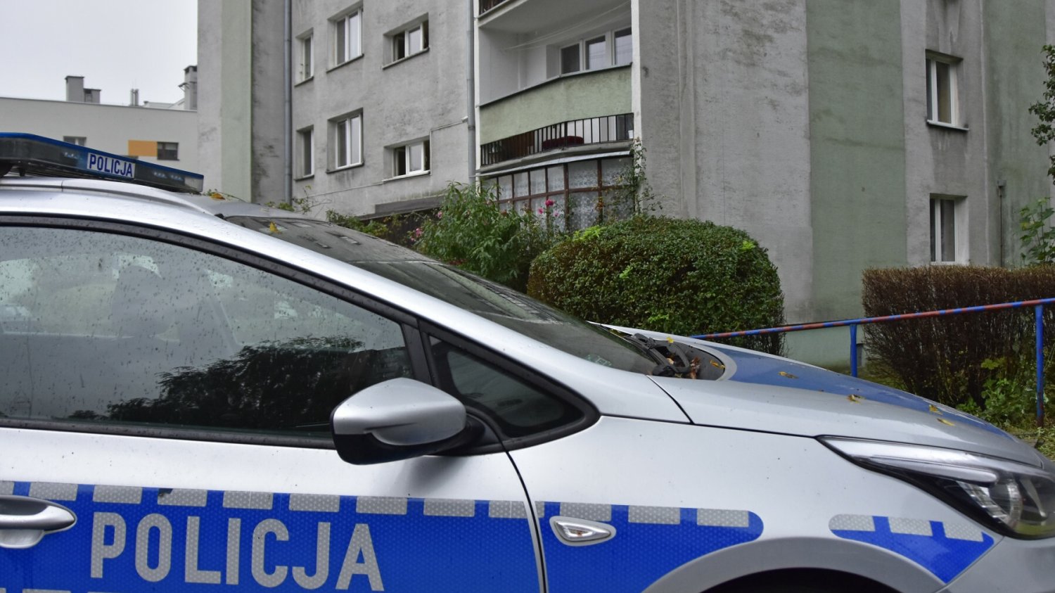Policja, zdjęcie ilustracyjne