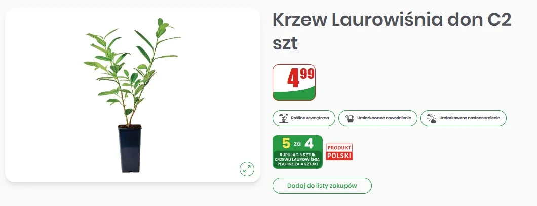 Promocja na laurowiśnię w Dino Oferta Dino