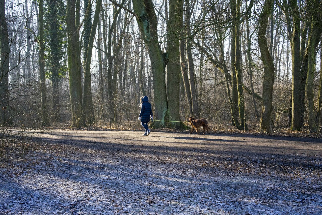 Długoterminowa prognoza pogody na październik 2021 roku. Czeka nas prawdziwa pogodowa karuzela.
