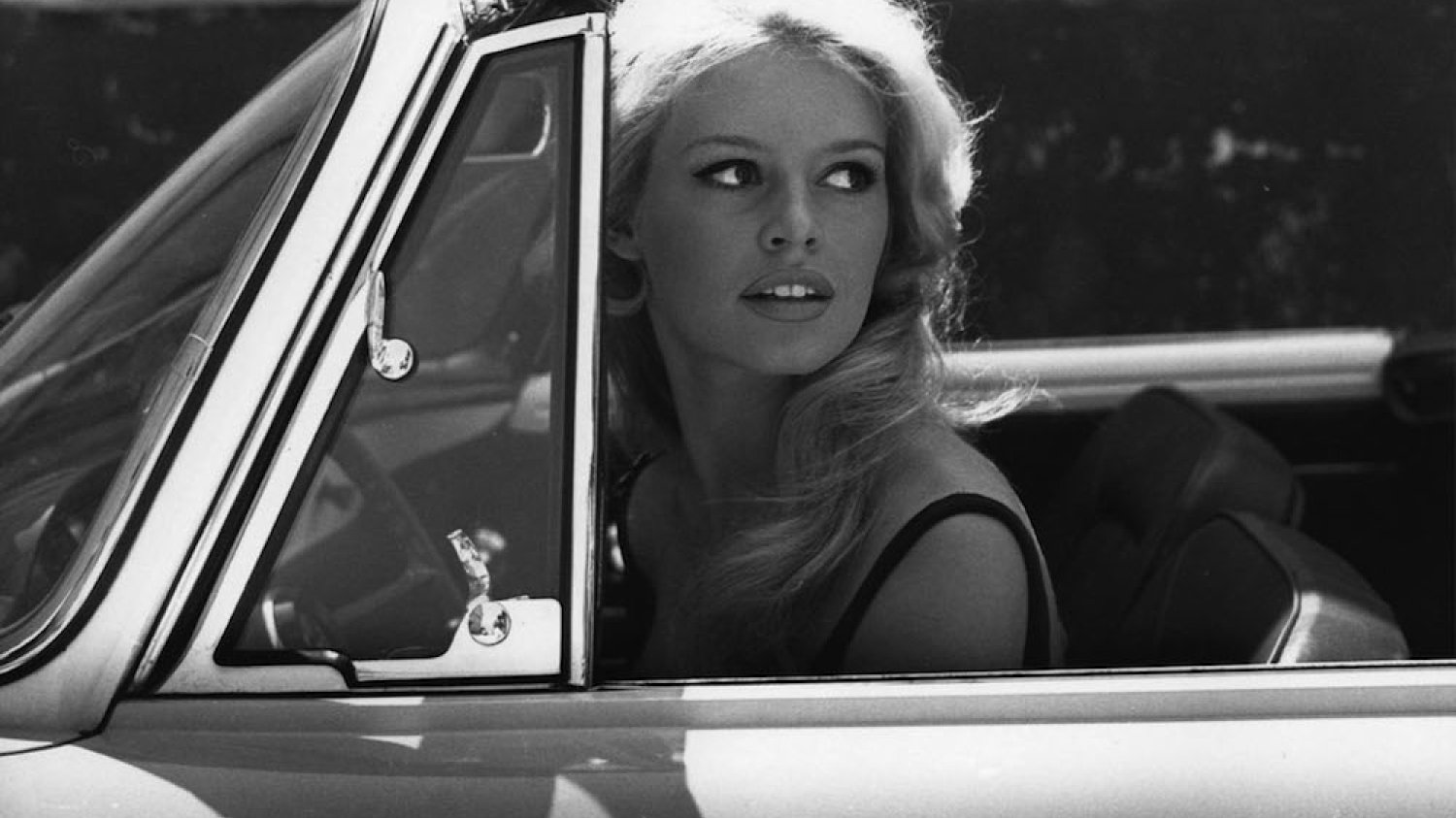 Brigitte Bardot