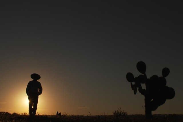 Dokument HBO ''6 kroków'' zainspirowała teoria sześciu stopni oddalenia.