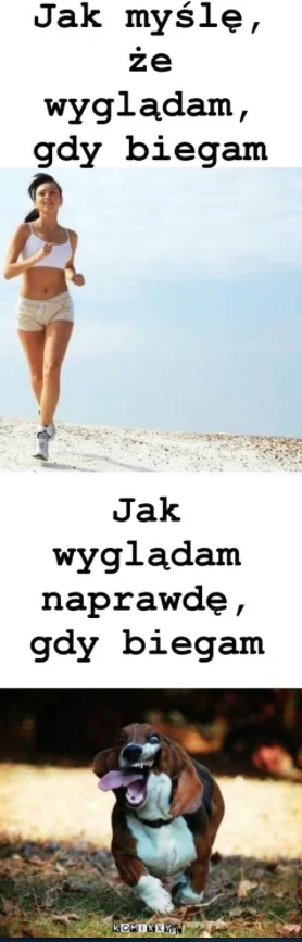 Oczekiwania vs rzeczywistość.