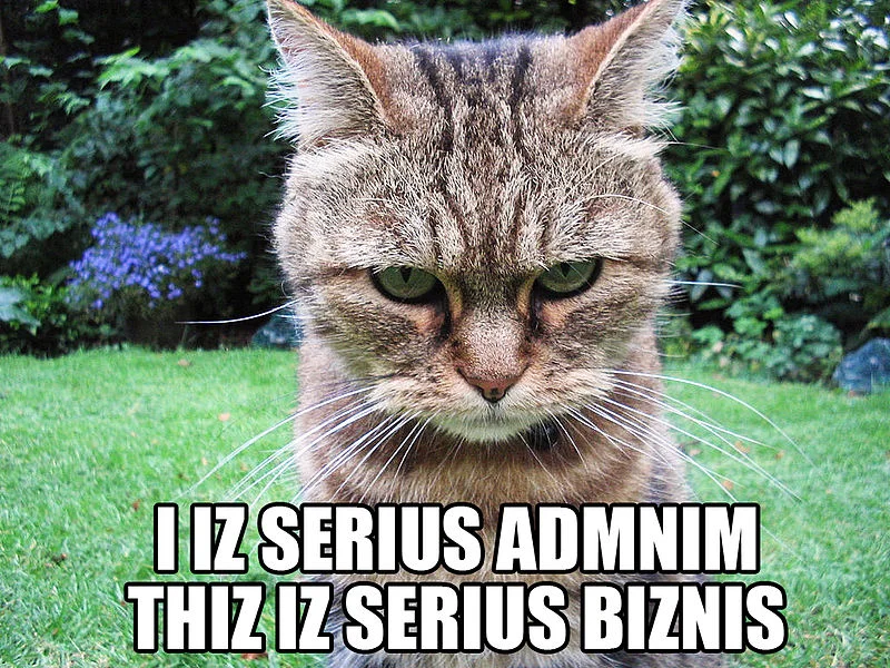 Lolcat