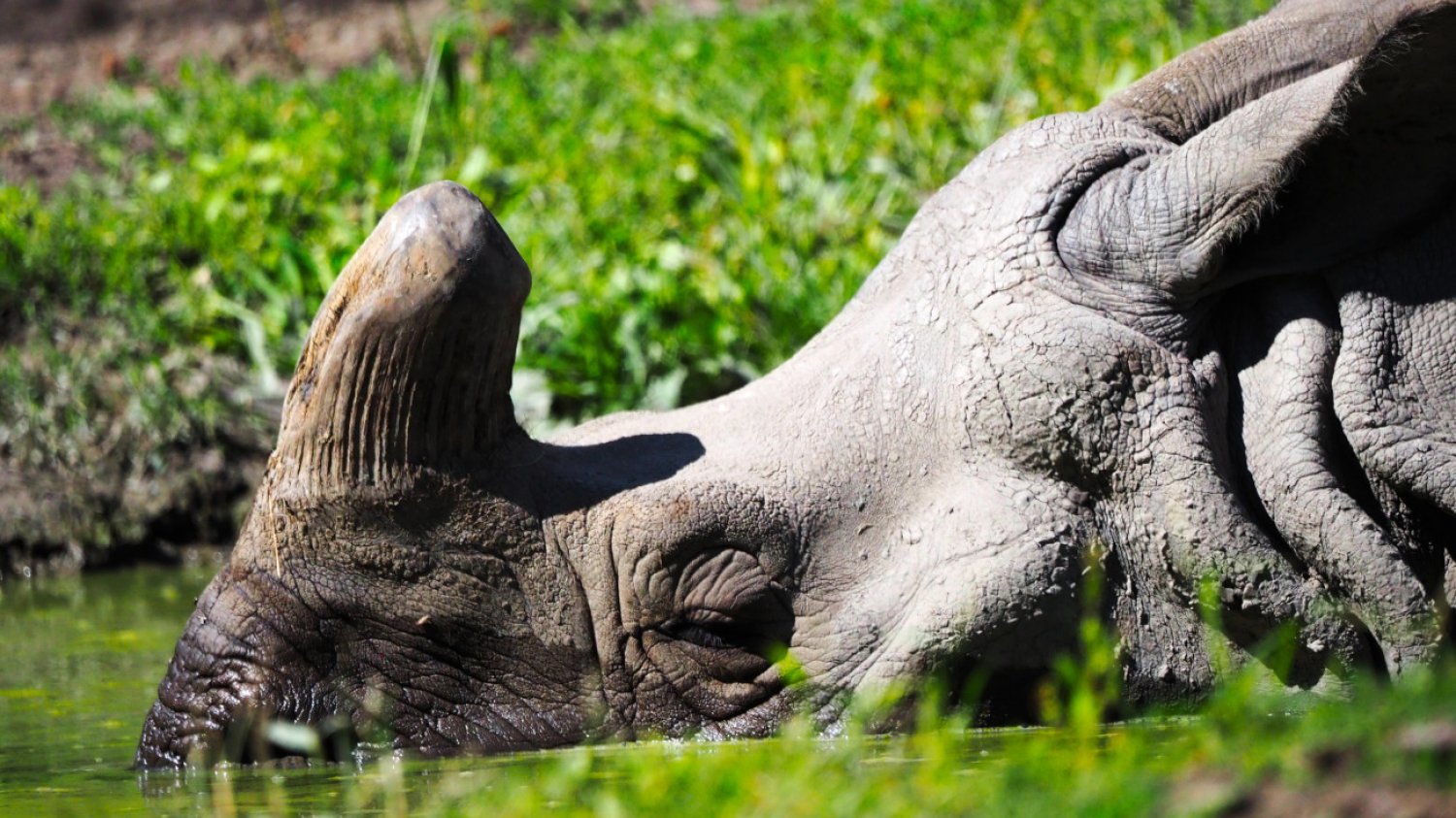 W Warszawskim ZOO pojawiła się nowa lokatorka.