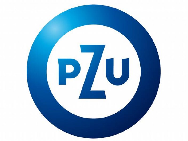 Nowe logo PZU. Internauci i eksperci krytykują. Jak z rebrandingiem poradziły sobie inne firmy? | naTemat.pl
