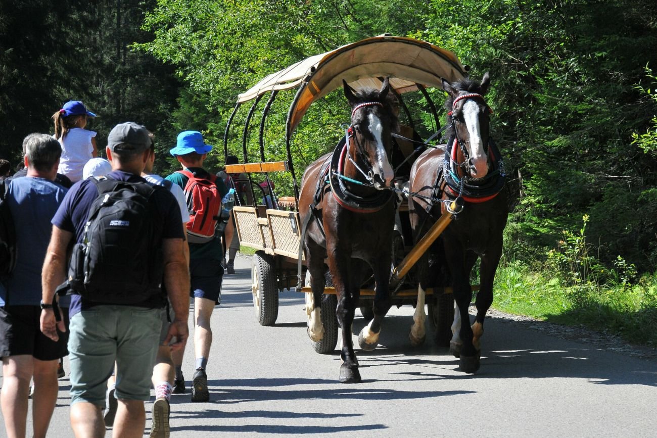 Konie nad Morskim Okiem zastąpione melexami? Jest na to pomysł