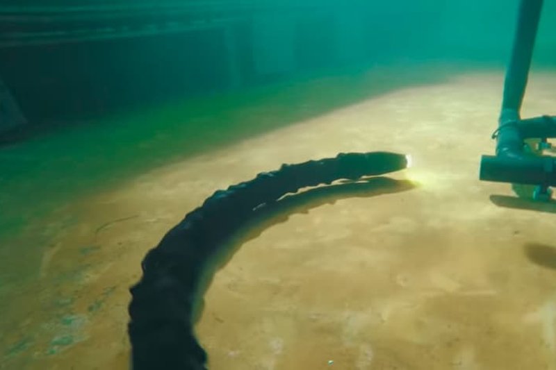 W najbliższym czasie tego typu maszyny zostaną dosłownie i w przenośni wrzucone na głęboką wodę