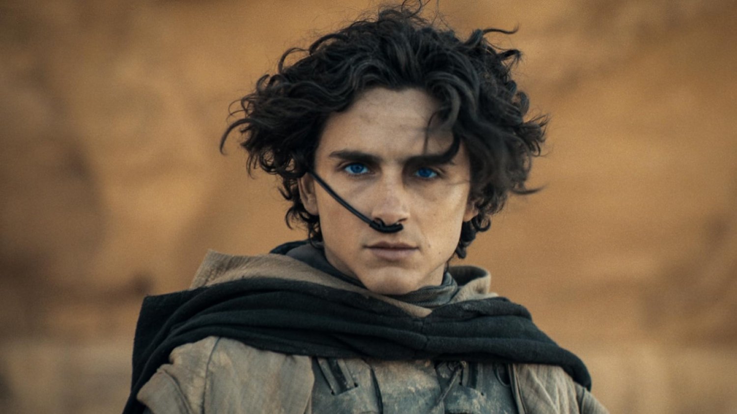 Diuna: część druga Timothee Chalamet, Diuna: część druga