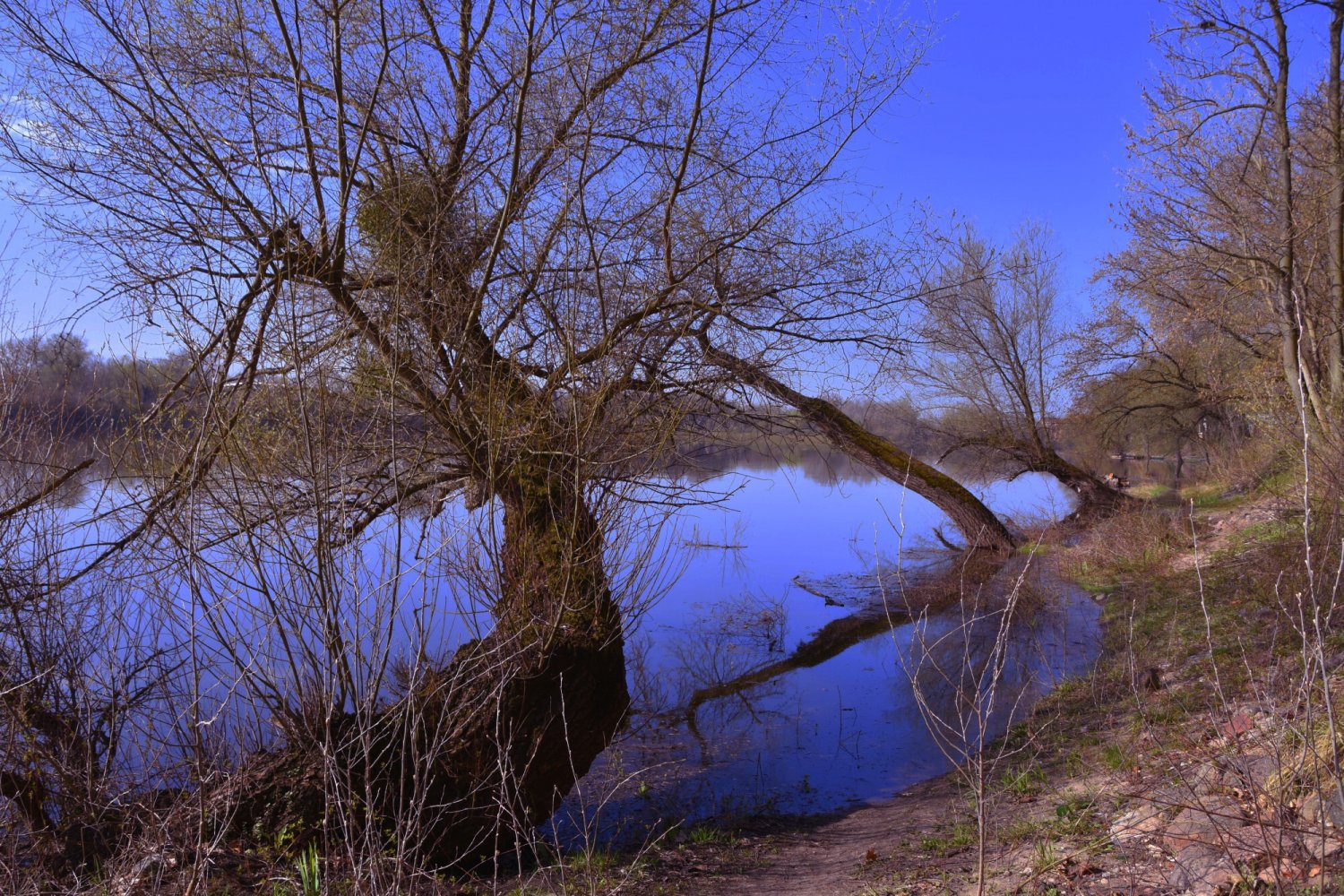 Śmierć dziewczynki i kobiety w Pułtusku. To było samobójstwo?