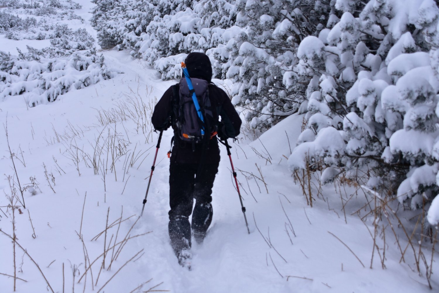 Warunki pogodowe w Tatrach