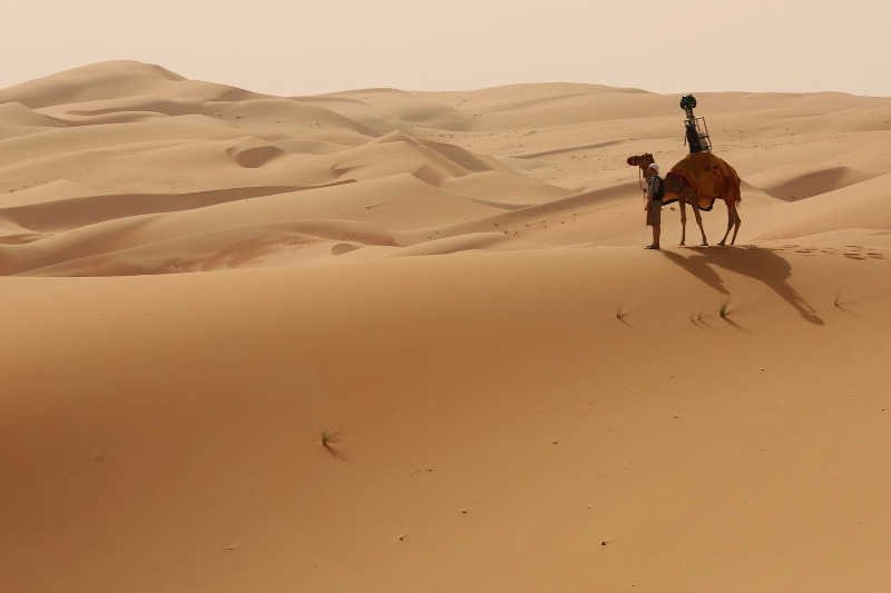 Google wykorzystało dromadera do zrobienia zdjęć pustyni.