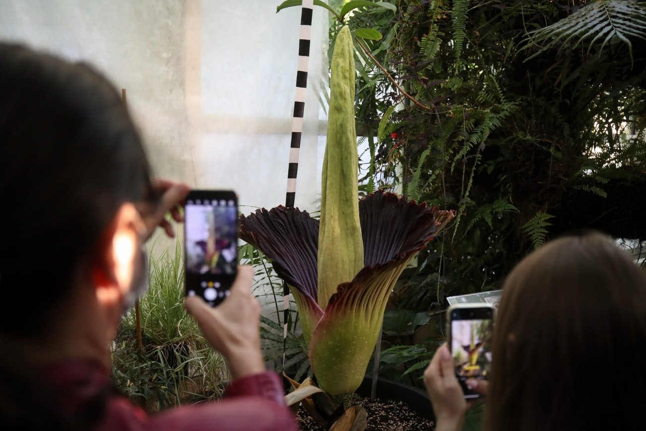 Masa turystów zjedzie do Warszawy. Wiele osób długo czekało na to wydarzenie