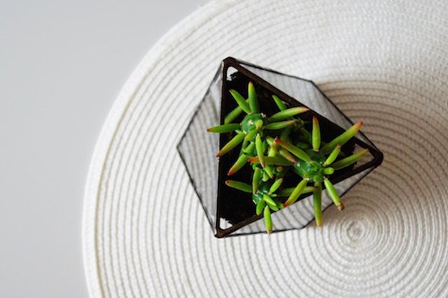 Szklana doniczka o prostej, geometrycznej formie.