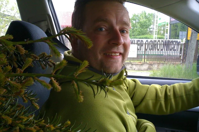 Kiedy powiedziałem, że mogę kupić jego cisa za 300 zł właściciel plantacji obraził się i krzyczał. Myślałem, że poszczuje mnie psami, ale dobiliśmy targu.