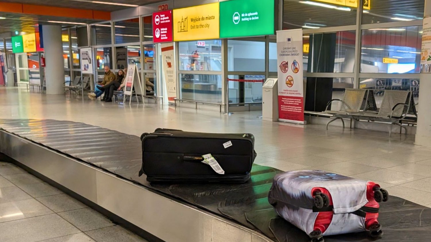 Kurtka ze skóry węża na Lotnisku Chopina. Ukrainiec będzie się tłumaczył Z wakacji na Bali prosto do sądu. Wszystko przez nielegalną pamiątkę z wakacji