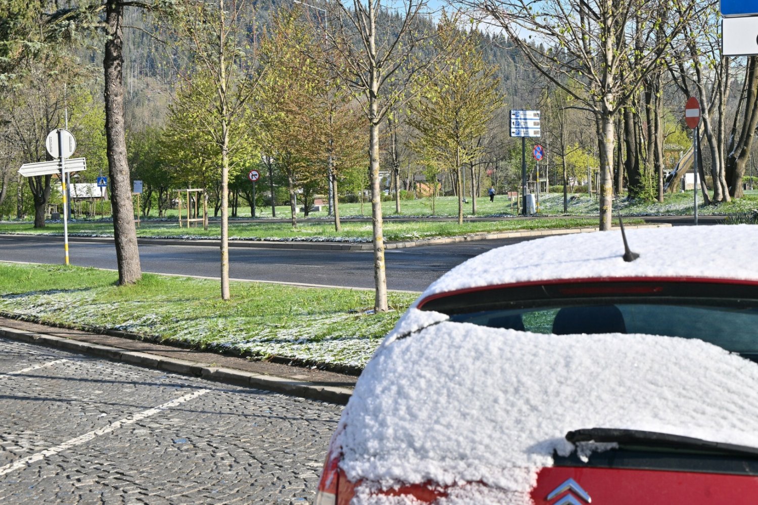 W Polsce pojawił się już pierwszy śnieg. Wiadomo, gdzie spadł.