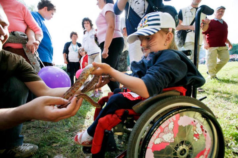 Chore dzieci w luce prawnej. Nie chcą ich ani rodzice, ani państwo, a polityce bezradnie rozkładają ręce.