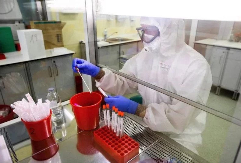 Nowa mutacja ptasiej grypy H5N8. Naukowcy alarmują ws. nawrotu wirusa.