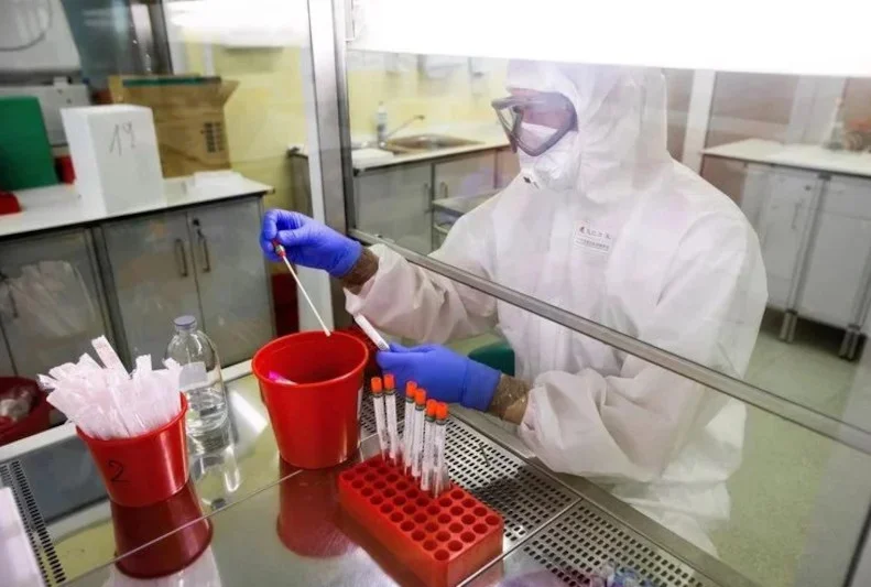 Nowa mutacja ptasiej grypy H5N8. Naukowcy alarmują ws. nawrotu wirusa.