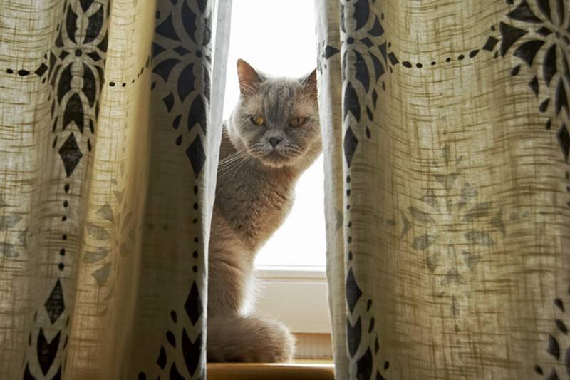 Nadszedł koniec epoki firan. Dziś w polskich oknach królują zasłony.