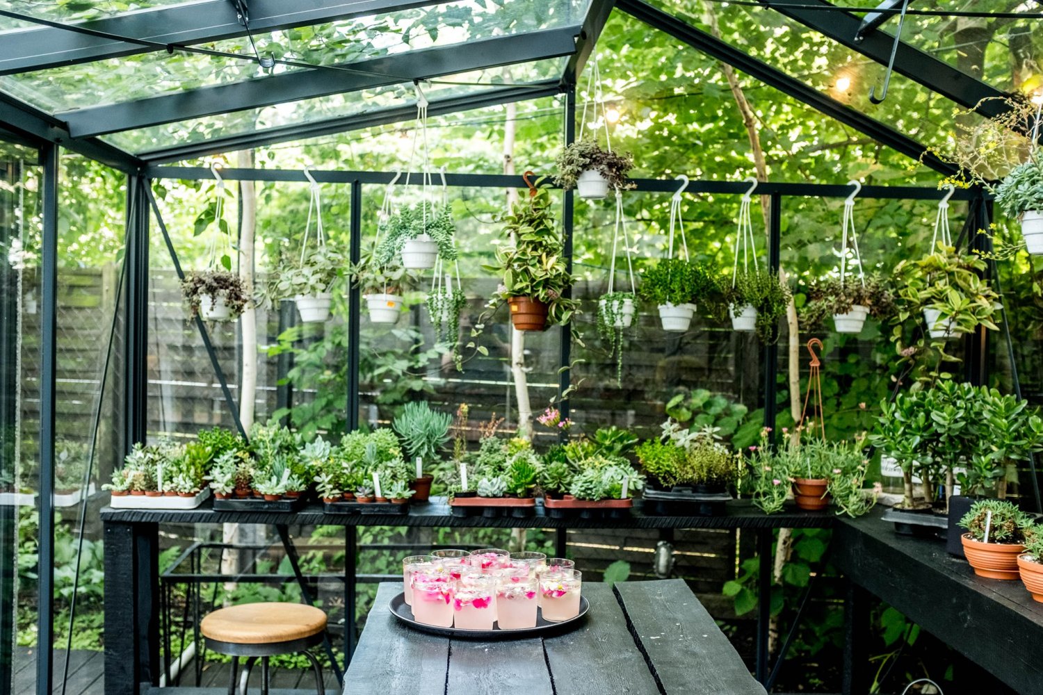 Szklarnia w restauracji Eden Bistro