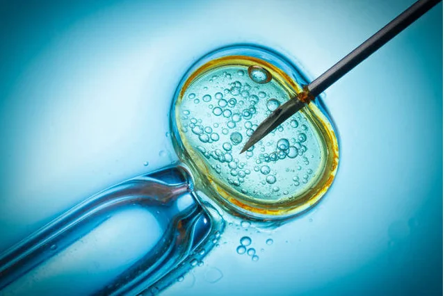 Koniec z finansowaniem in vitro z budżetu państwa.