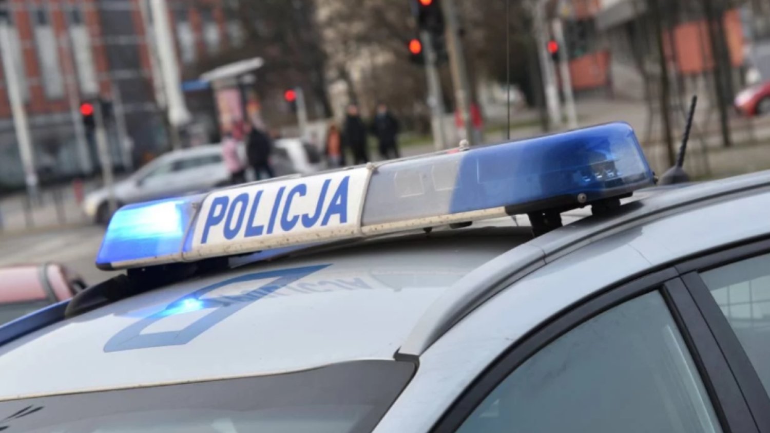 Sąd przychylił się do wniosku policji ws. pobicia w Pruszkowie.