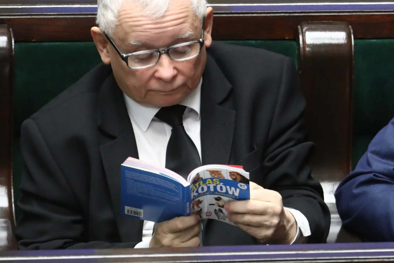 Wszystkie koty Jarosława Kaczyńskiego. Oto najwierniejsi przyjaciele prezesa PiS.